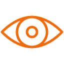Vision Icon